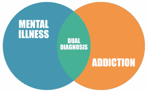 circle graph chart for dual diagnosis